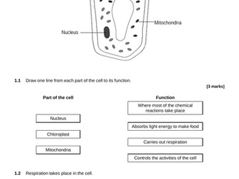 AQA biology - Trilogy - end of unit test - biogenetics