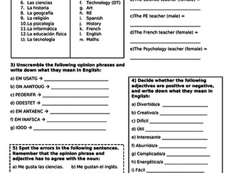 KS3 School Worksheet (ideal cover work)