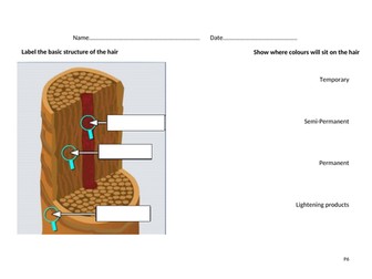 Structure of the hair, scalp and how hair colours sit within the hair