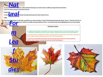 Observational Drawings: Leaves