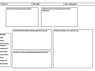 CB6 mini assessments