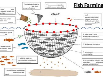 GCSE Fish Farming infographic