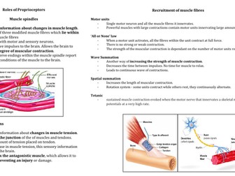 AQA A Level PE revision - Anatomy and Physiology 'Topic on a page' revision sheets