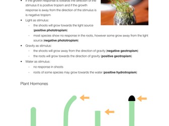 EDEXCEL Coordination and response in plants  notes for IGCSE Biology