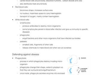 EDEXCEL IGCSE Biology - Human heart, blood notes