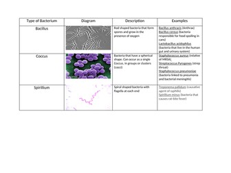 Types of Bacteria Card Sort