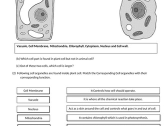KS3 - Science Worksheets for Cell, Cell Specialism and Movement of substances, Human organ systems
