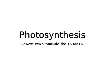 Photosynthesis