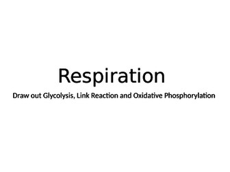 Respiration Revision