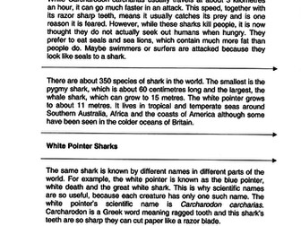 Cut & Paste Activity - Report on Sharks