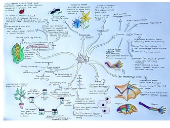 Biology Paper 1 Revision Mindmaps for Edexcel Separate Biology ...