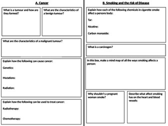 Non-communicable Diseases placemat