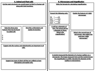 Cell structure and transport placemat