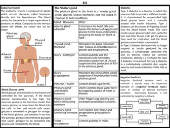 AQA 9-1 (2016) GCSE Biology Separate Science: B11 Knowledge Organiser