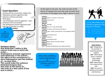 Romeo and Juliet AQA Exam planning worksheet