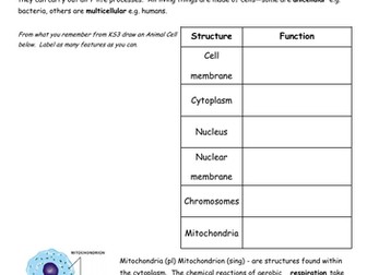 CCEA GCSE Biology Unit 1 Notes