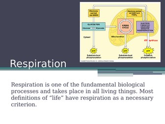 A2 Respiration