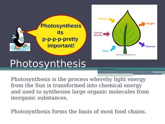 A2 Photosynthesis
