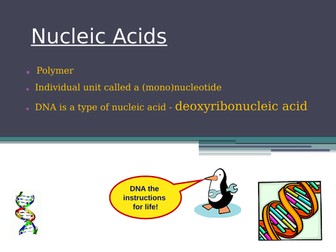 Nucleic Acids and DNA