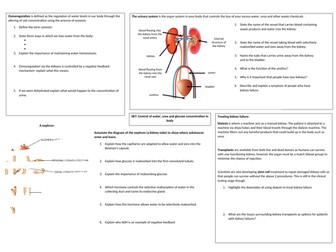 The kidney and ADH revision/ presentation