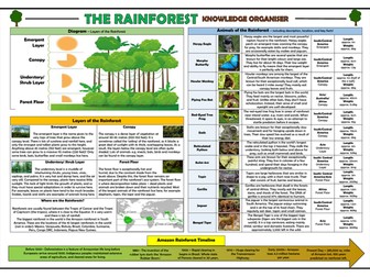 Rainforests KS2 Knowledge Organiser!