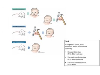 A' Level Psychology- developmental  Psychology - Little Albert and phobias - full lesson