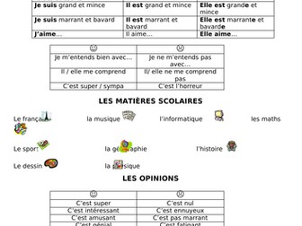 KS3 French - topics revision booklet (vocabulary and phrases)