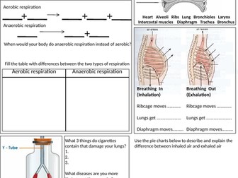 1.2 Respiration and the respiratory system revision sheet