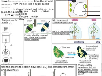 1.5 Plants and photosynthesis revision sheet