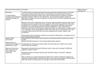US Pressure Groups examples