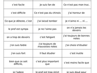 GCSE French School Opinions Categorising Quilt