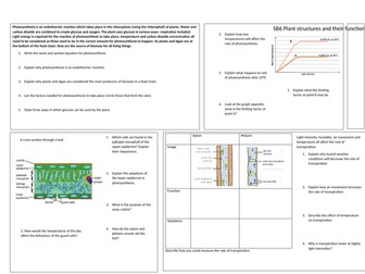 SB6 Plant structure and functions module summary