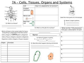year 7 science revision teaching resources
