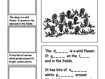 Summer Cloze Procedures.