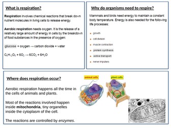 AQA 9-1 Biology Aerobic Respiration Lesson