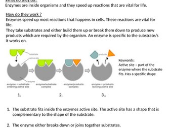 AQA 9-1 Biology Enzymes AFL Task and Handout