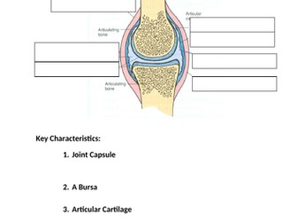 BTEC Sport Level 3 Anatomy & Physiology Learning Aim A: Joints