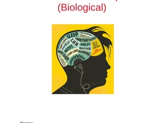 OCR A LEVEL PSYCHOLOGY: CHILD PSYCHOLOGY TOPIC 2: PRE-ADULT BRAIN DEVELOPMENT (BIOLOGICAL) 3 L