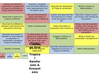 AQA Geography Tropical Rainforests & Ecosystems Revision Grid