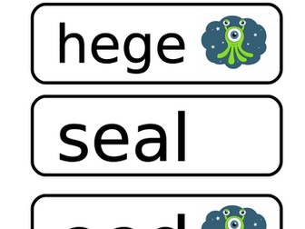 Phonics words 'ee' 'ea' 'e-e' 'e'
