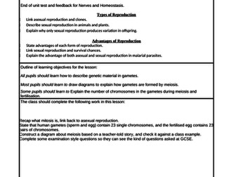 Meiosis Lesson Reconstruction of Events from a Story AQA GCSE Biology Inheritance