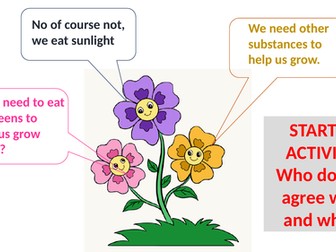 Simple lesson on plant minerals for a low ability set