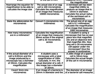 Magnification Questions