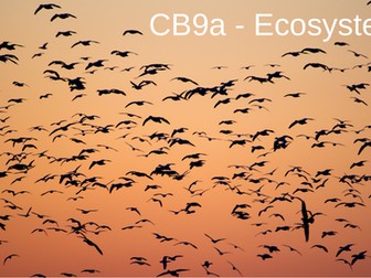 CB9a - Ecosystems