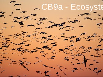 CB9a - Ecosystems