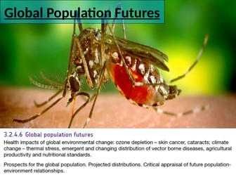 Global Population Futures