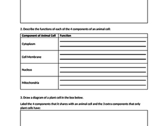 B1.1 Cell SOW Activate 1