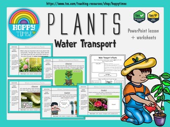 Water Transport in Plants Lesson