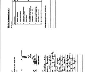 Edexcel IGCSE Plant tropisms
