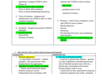 essay plans for handmaids tale and frankenstein